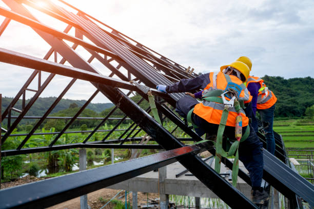 Best Roof Repair Services  in New Pek, IN