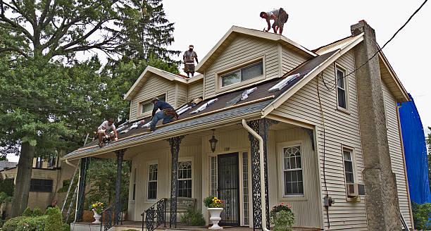 Professional Roofing Contractor in New Pekin, IN