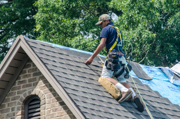 Best Roof Replacement Cost  in New Pek, IN